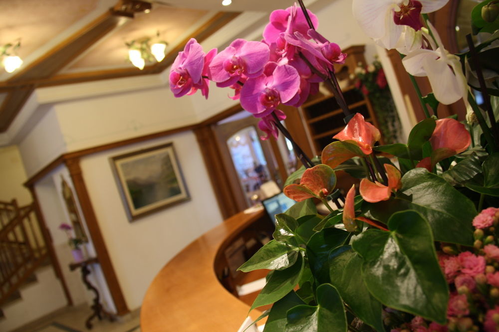 Ariston Lake View Hotel Molveno Εξωτερικό φωτογραφία